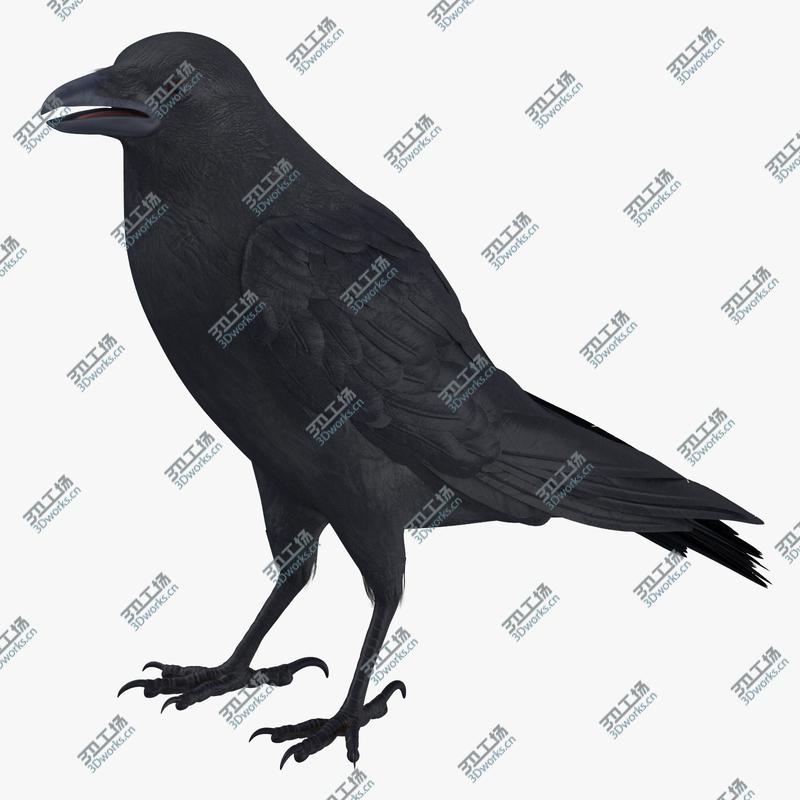 images/goods_img/202104022/Crow 3 Poses 3D model/2.jpg